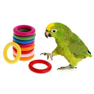 yoodada 10 Pcs/Set Wooden Ring Parrot Toys Bite Chew Play Natural Colorful Rings Decor Birds DIY Toy