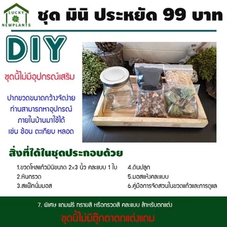ชุดจัดสวนในขวดแก้ว DIY สวนขวด เซ็ทประหยัด 99฿ มีของพร้อมส่ง