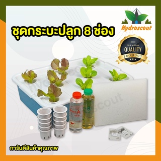 ชุดกระบะปลูก 8 ช่อง by hydroscout