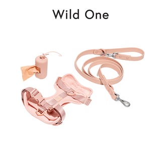 Wild One - Walk Sets │ Blush