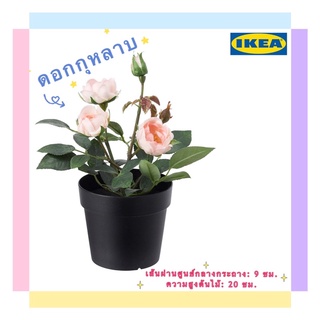 ต้นไม้ปลอม /ไม้ประดิษฐ์ในกระถาง ดอกกุหลาบ ชมพู, 9 ซม. สินค้า IKEA แท้(พร้อมส่ง)