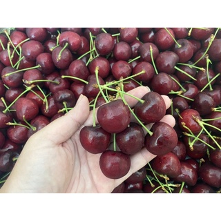 Red Cherry เชอร์รี่แดง ( 500 g. / 1 kg. ) ผลไม้นำเข้าจากต่างประเทศ ผลไม้สด พรีเมี่ยม Premium Fruit