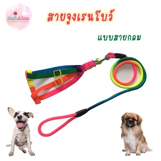 สายจูงเรนโบว์ สายจูงหมา สายจูงแมว สายจูงสุนัข Rainbow Leash