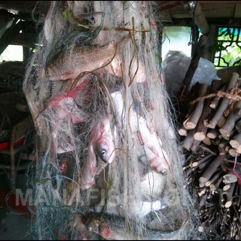 #อวนปลากระบอกราคาถูก 📌แบบสำเร็จทุ่นตะกั่ว ป้ายยาว 75 เมตร ลึก 30 ตา - รูปที่ 3