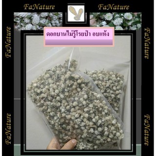 บานไม่รู้โรยป่าอบแห้ง*🌼ถุงใหญ่ 100 g ขนาด 18×28 ซม. จุเต็มถุง"เพิ่มปริมาณกว่าเดิม"🐦🦜🐹🐿🐇🐰ดอกเต็ม สวย ไร้สารเคมี 100% 🕊🌸