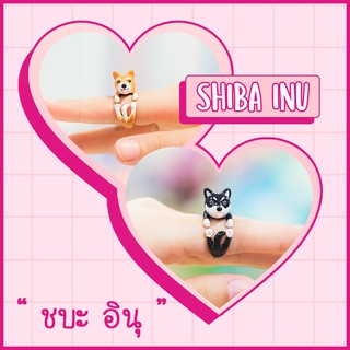 Ring / แหวน : Shiba Inu / ชิบะอินุ