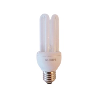 หลอดประหยัดไฟ PHILIPS GENIE 18 วัตต์ COOLDAYLIGHT