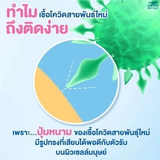 New Kirei Foaming Hand Soap Refill Pack 200MLX1PCS โฟมล้างมือ คิเรอิคิเรอิ 200ML 1 ถุง