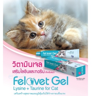 Felovet Gel ฟีโลเว็ท เจล อาหารเสริมวิตามิน บำรุงร่างกายแมว อาหารเสริมแมว ไลซีน ทอรีน Lysine Taurine for cat  50g