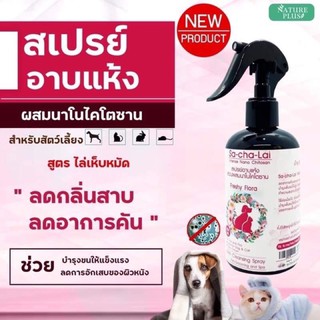 สินค้าแนะนำ‼️แขมพูอาบน้ำแห้งหมา แมว กลิ่นหอม ขนนุ่มฟูขึ้นทันทีหลังใช้