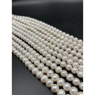 pearls for necklace ไข่มุกสำหรับสร้อยคอ