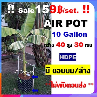 กระถาง air pot สีดำ 10 Gallon กระถางแอร์พอต ปลูก420 (air pot) size 40*30 cm (Black) กระถางต้นไม้ กระถางพลาสติก