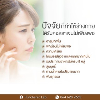 คอลลาเจนไดเปปไทด์ จากญี่ปุ่น(Collagen Dipeptide)