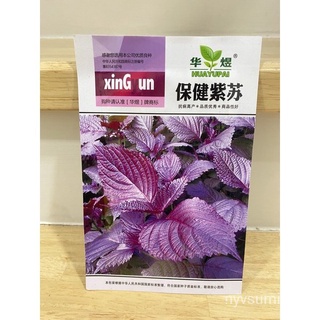 ผู้ผลิตเมล็ดพันธุ์/เมล็ดชิโสะแดง (Red Shiso Leaf) 200เมล็ด/อินทรีย์ คละ สวนครัว คะน้า/อินทรีย์ คละ สวนครัว ดอก