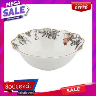 ชาม FINE CHINA 6" ROYAL FINE CHINA WONDERLAND อุปกรณ์ใส่อาหาร FINE CHINA BOWL 6" ROYAL FINE CHINA WONDERLAND