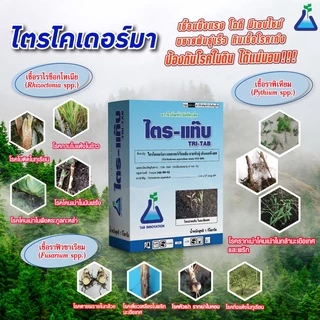 ไตร-แท๊บ (ไตรโครเดอร์มา) จาก ทีเอบี ไตรโคเดอร์มา กำจัดโรครากเน่า โคนเน่า จากเชื้อราไฟทอปธอร่า ในทุเรียน ไตรแท๊บ