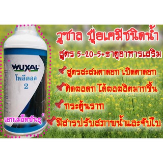 โพลีดอล 2 ปุ๋ยเคมีชนิดน้ำ. สูตร 5-20-5