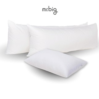 mr.big Bundle Set หมอน BodyScale และหมอน Body หรือ Leg Pillow ชุดจัดท่านอนด้วยหมอน 2 ใบ