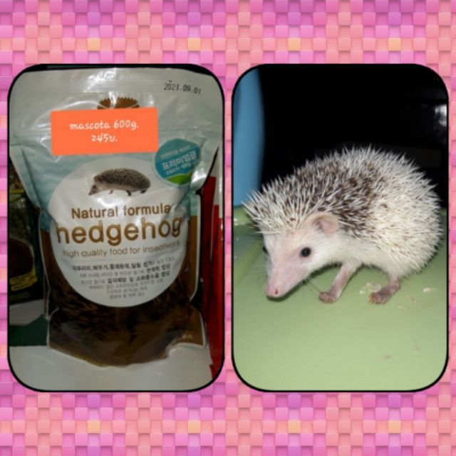 อาหารเม่นแคระเกาหลี ยี่ห้อ Mascota ขนาด600g. นำเข้าจากเกาหลีโดยตรง [พร้อมส่งCOD] ราคา ถูกที่สุด ดีลบีเคเค แกลเลอรีภาพที่ 7
