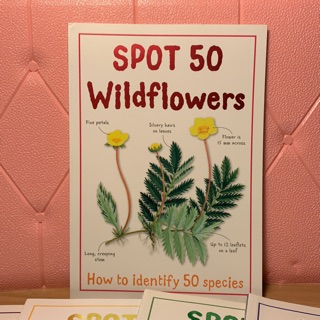 SPOT 50 Wildflowers.