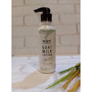 โกท มิลค์ โลชั่น / Goat Milk Lotion / โลชั่นบำรุงผิวเนียนนุ่ม มีกลิ่นหอมอ่อนๆ ดอกซากุระญี่ปุ่น