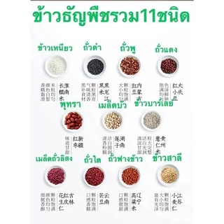 พร้อมส่ง ข้าวธัญพืชรวม11ชิด อบธรรมชาติ ถุงละ1กิโลกรัม ธัญพืช ข้าวสาลี ข้าวธัญพืช