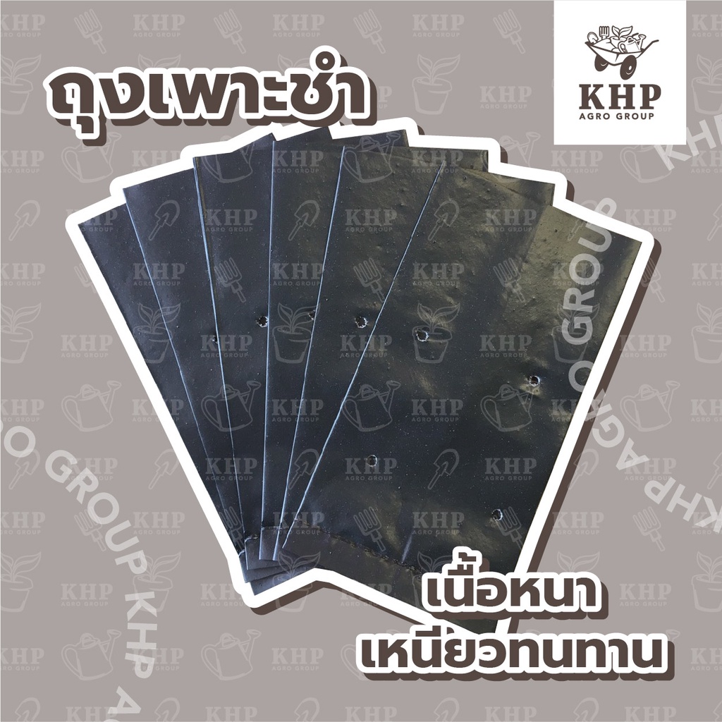 ถุงเพาะชำ สีดำ รุ่นหนา 1 กก. ทนทาน คุ้มค่า เลือกขนาดได้หลากหลาย