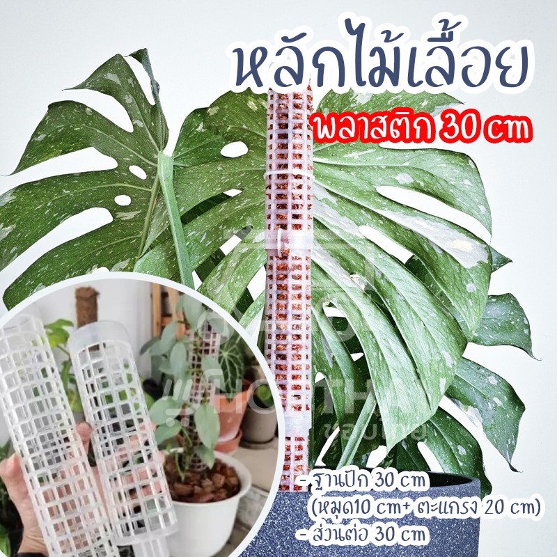 หลักไม้เลื้อย 🎋 เสาไม้เลื้อย แบบต่อเพิ่มความสูงได้ หลักไม้เลื้อย หลักพลาสติกสำหรับไม้เลื้อย
