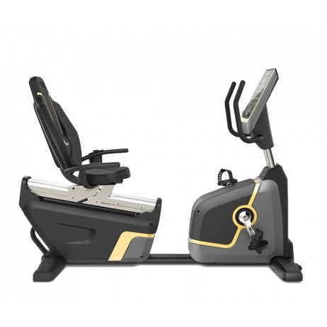 จักรยานนั่งปั่น Recumbent Electronic Bike R007G (Flywheel 6 KG.)