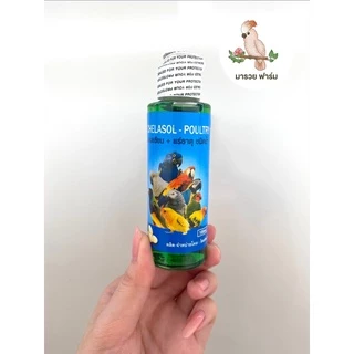 วิตามินรวมสำหรับนก Bird Boots 100ml. สำหรับนกแก้ว