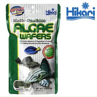 Hikari Algae Wafer
อาหารปลาชนิดพิเศษสำหรับปลาพื้นตู้ กินพืช  ตะไคร่ เช่น ปลาซัคเกอร์ 250g.