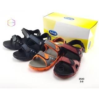 Scholl Napolien 2u-2543  รองเท้ารัดส้น ผู้ชาย ผู้หญิง มีให้เลือก 4 สี