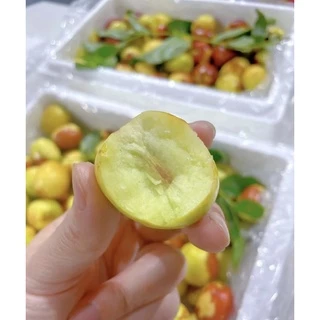 พร้อมส่ง‼️ พุทราช็อกโกแลตสด พุทราจีน ยกลัง2.6kg-3kgรวมโฟม
