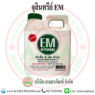 จุลินทรีย์ EM 1 ลิตร คิวเซ