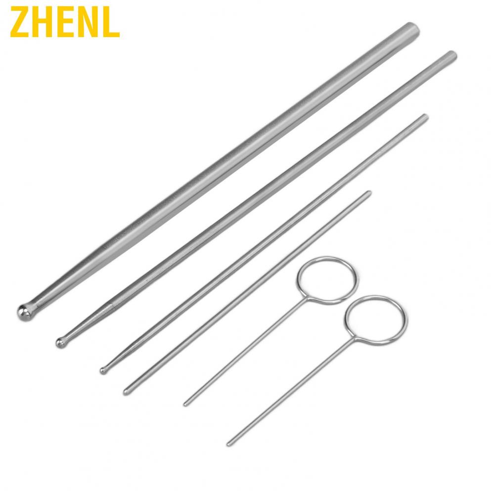 Zhenl 6 ชิ้นงู การสอบสวน สแตนเลสหัวกลมสัตว์เลื้อยคลาน Sexing ชุดเครื่องมือ