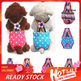 ✽RAN✽Pet Physiological Pants Polka Dot Striped Female Dog Underwear Sanitary Diaper