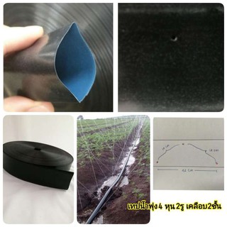เทปน้ำพุ่ง MIKI 4หุน 100ม. เคลือบ2ชั้น แบบ2รู