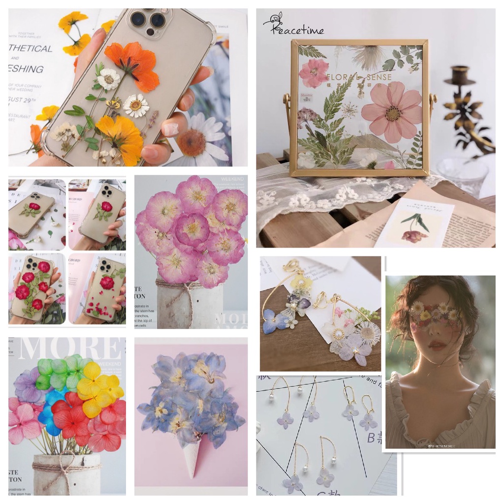 50 ชิ้น กด ดอกไม้แห้ง สีขาว คริสตัล ดอกเบญจมาศ แบบนูน มือหล่น กาววัสดุ DIY การสอน ตัวอย่าง หยดกาว เคสโทรศัพท์มือถือ - รูปที่ 4