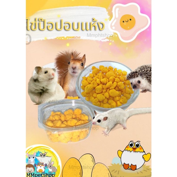 (MMPetShop)ขนมหนูแฮมสเตอร์ ของว่าง อาหารเสริมเพิ่มโปรตีนชูก้า กระรอก เม่นแคระหรือสัตว์ฟันแทะขนาดเล็ก - รูปที่ 4