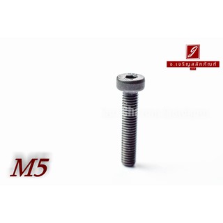 น็อตหัวจมหัวเตี้ยพิเศษ M5x25