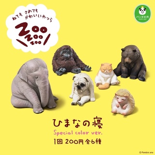 (เลือกแบบ) กาชาปองสัตว์ หมา ช้าง หมี เม่น แมว คิงคอง นั่งหลับ • Zoo zoo zoo Tired Animal Gashapon Special Color ver.