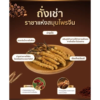 🚀[ของแท้ ส่งไวทันใจ]🚀 กาแฟเพื่อสุขภาพ เอ็มไนน์ คอฟฟี่พลัส M9 Coffee Plus กาแฟถั่งเช่า บำรุงร่างกายและกำลัง เสริมสมรรถภาพ