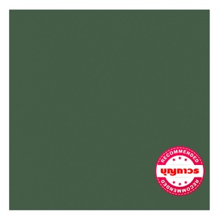 GELATO กระเบื้อง PAKO GREEN  M.(C612) 60X60*A