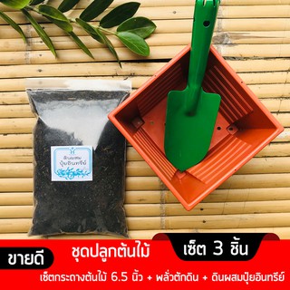 ชุดปลูกต้นไม้ ดินผสมปุ๋ยอินทรีย์พร้อมปลูก เซ็ต 3 ชิ้น ชุดปลูกต้นไม้สำเร็จรูป ชุดเพาะชำ ชุดปักชำต้นไม้