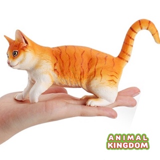 Animal Kingdom - โมเดลสัตว์ แมว ทอง ขนาด 17.50 CM (จากหาดใหญ่)