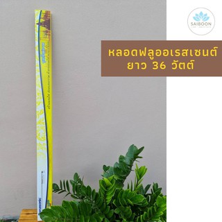 หลอดไฟสังฆทาน ถวายสังฆทาน หลอดไฟฟลูออเรสเซนต์ยาว 36 วัตต์ หลอดไฟ สังฆทาน หลอดไฟถวายพระ