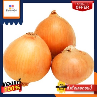 หอมหัวใหญ่ กก.ละONION KG.