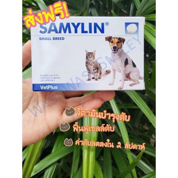 ×ส่งฟรี!×Samylin Small Breed