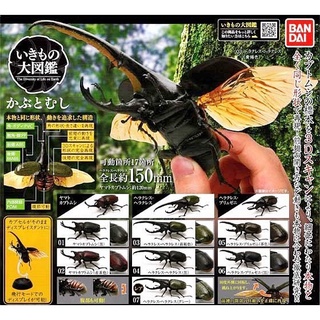 (มีของพร้อมส่ง) กาชาปองด้วง Gashapon Bandai Kuwagata Hercules Beetle Action Vol.01 โมเดลสัตว์