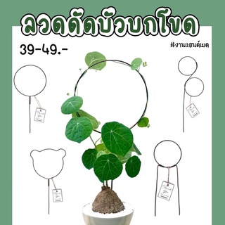 ลวดดัดบัวบกโขด ราคาถูก